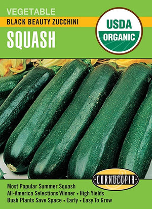 Organic Squash Black Beauty - Cornucopia Seeds