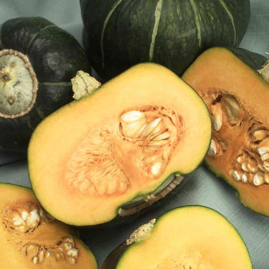 Organic Squash Buttercup - McKenzie Seeds