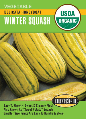 Organic Squash Delicata Honeyboat - Cornucopia Seeds