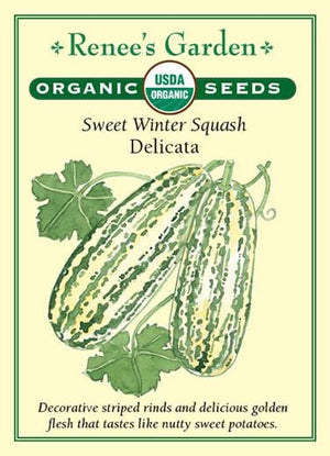 Organic Squash Delicata (Winter) - Renee's Garden