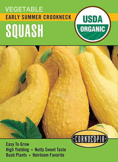 Organic Squash Early Summer Crookneck - Cornucopia Seeds
