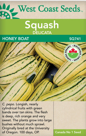 Organic Squash Honey Boat - West Coast Seeds