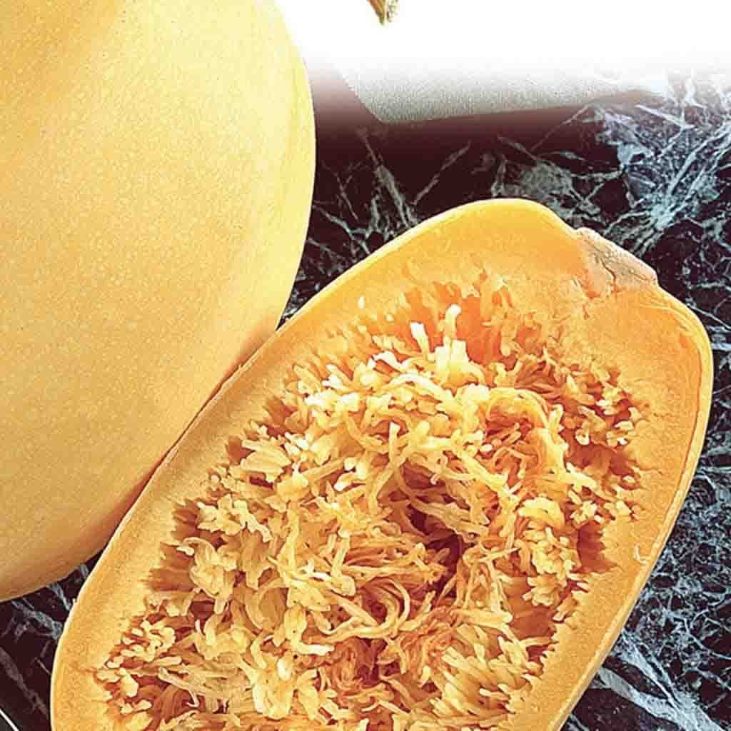 Organic Squash Vegetable Spaghetti Pasta - McKenzie Seeds