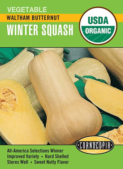 Organic Squash Waltham Butternut - Cornucopia Seeds