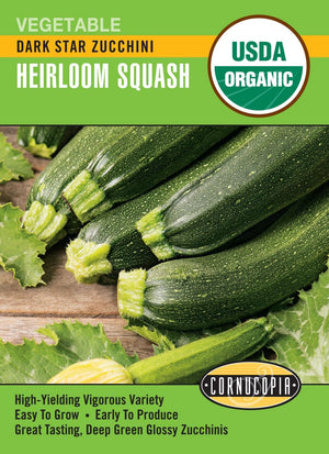 Organic Squash Zucchini Dark Star - Cornucopia Seeds