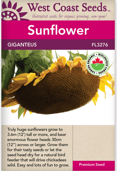Organic Sunflower Giganteus - West Coast Seeds
