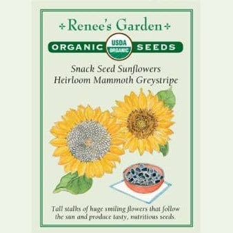 Sunflower Mammoth Greystripe - Renee's Garden Seeds
