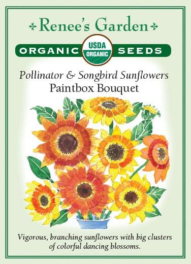 Organic Sunflower Paintbox Bouquet - Renee's Garden