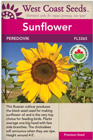 Organic Sunflower Peredovik - West Coast Seeds