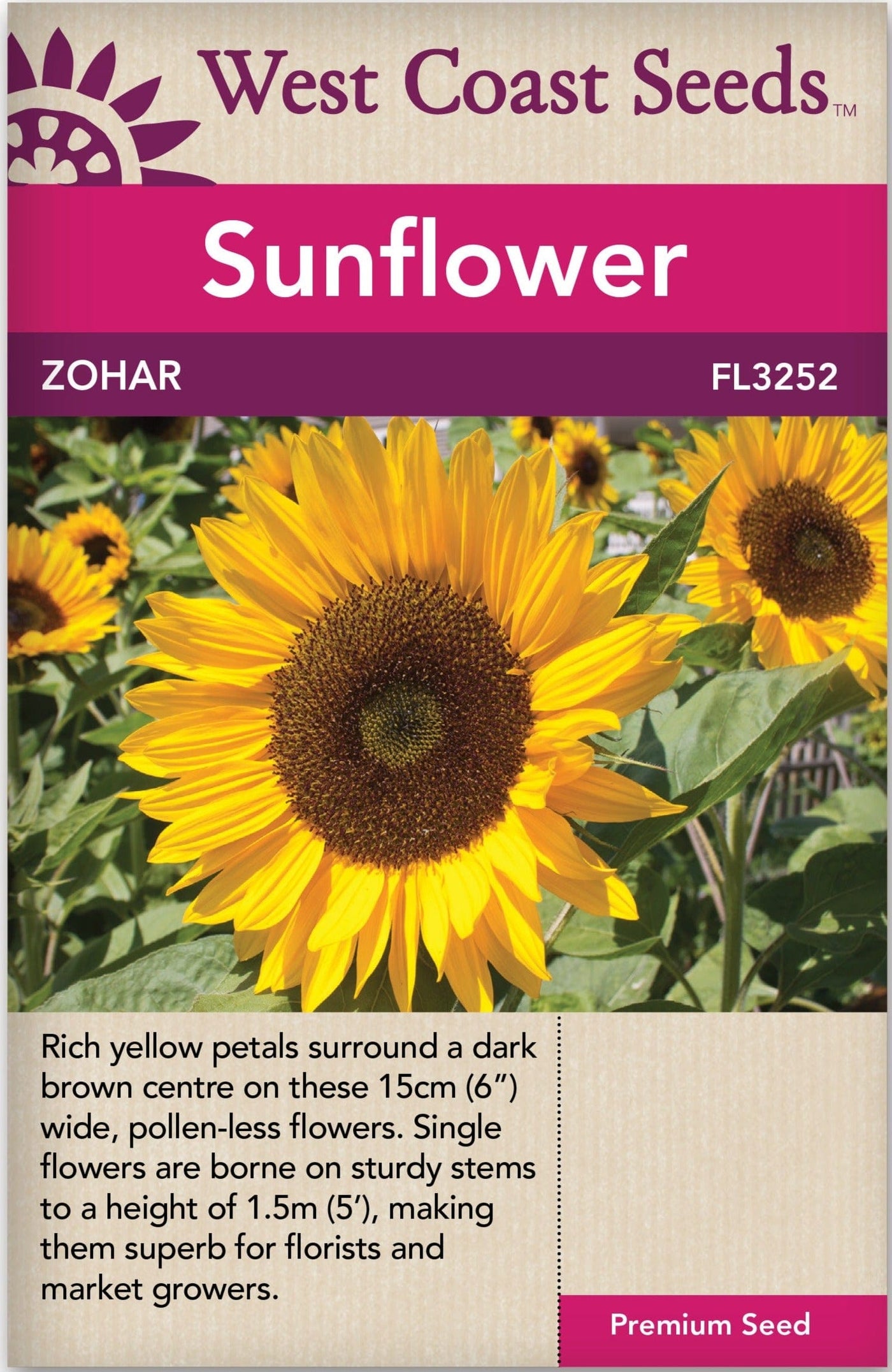 Organic Sunflower Zohar - West Coast Seeds