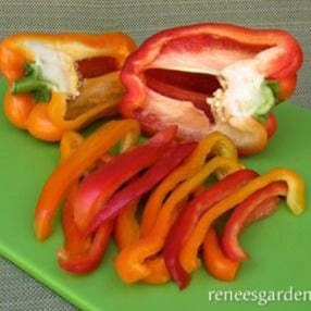 Peppers Sweet Bell - Renee`s Garden Seeds