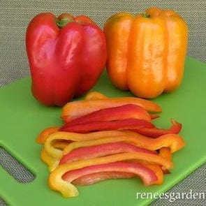 Peppers Sweet Bell - Renee`s Garden Seeds