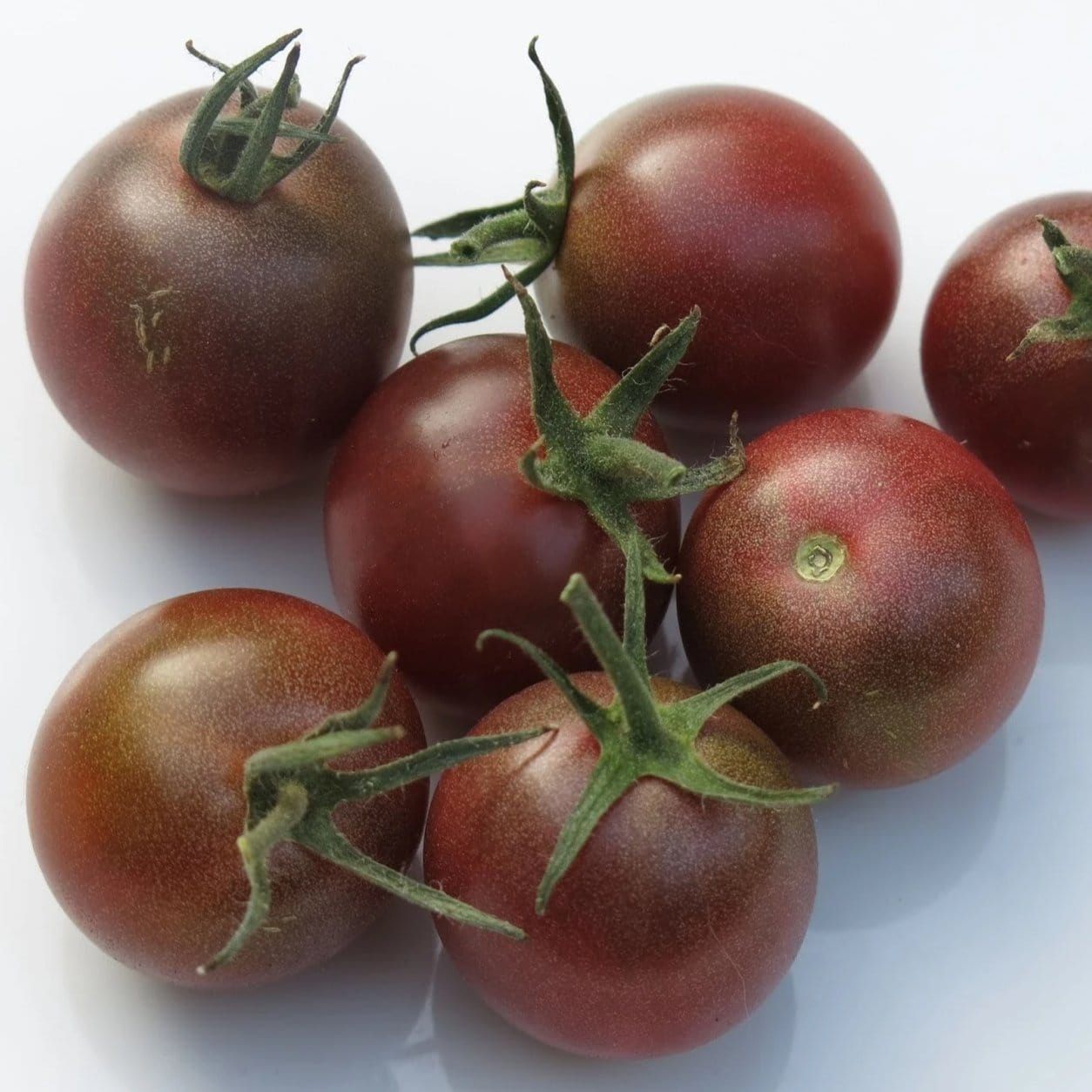 Tomato Black Cherry - Metchosin Farm