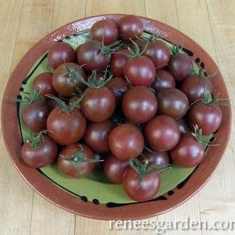 Tomatoes Black Cherry - Renee's Garden Seeds