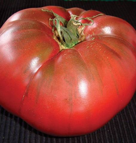 Organic Tomato Black Krim - West Coast Seeds