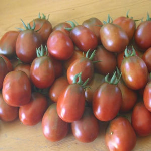 Tomato Black Plum - Metchosin Farm