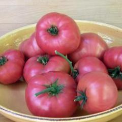 Tomatoes Brandywine - Renee's Garden