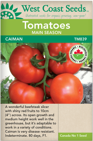 Organic Tomato Caiman - West Coast Seed