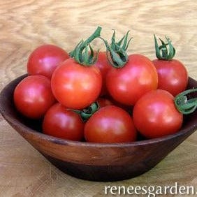 Tomato Chadwick's Cherries - Renee's Garden Seeds