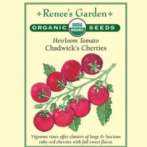Tomato Chadwick's Cherries - Renee's Garden Seeds
