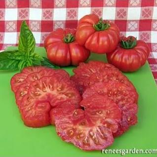 Italian Heirloom Tomato - Costoluto Genovese