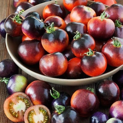 Tomato Indigo Rose - Metchosin Farm