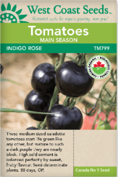 Tomato Indigo Rose Organic - West Coast Seeds