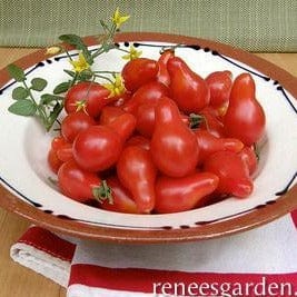 Tomato Red Pear - Renee's Garden Seeds