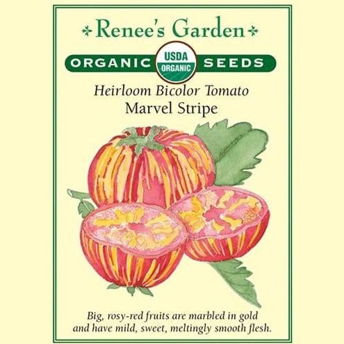 Tomato Marvel Stripe - Renee's Garden Seeds