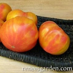 Tomato Marvel Stripe - Renee's Garden Seeds