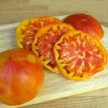 Tomato Marvel Stripe - Renee's Garden Seeds