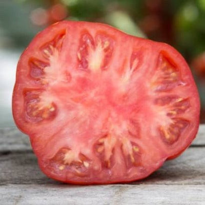 Organic Tomato Red Beefsteak - Metchosin Farm Seeds