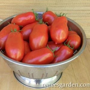 Tomato San Marzano - Renee's Garden Seeds