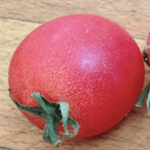 Organic Tomato Strawberry Cherry - Metchosin Farm Seeds