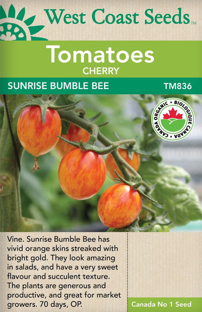 Organic Tomato Sunrise Bumble Bee - West Coast Seeds