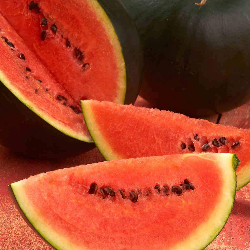 Organic Watermelon Sugar Baby - McKenzie Seeds