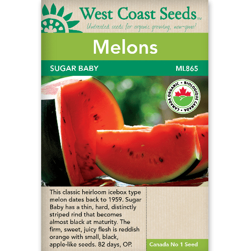 Melons Sugar Baby Organic - West Coast Seeds