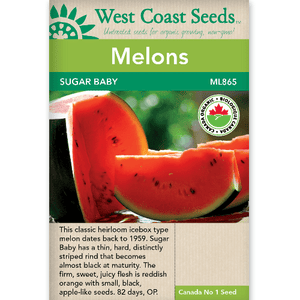 Melons Sugar Baby Organic - West Coast Seeds