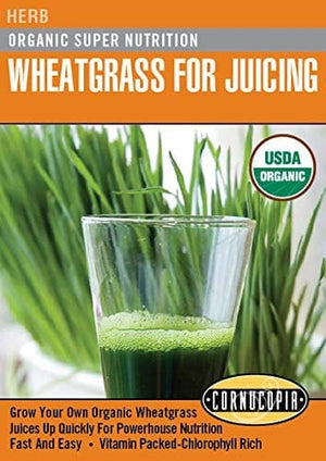 Organic Wheatgrass for Juicing - Cornucopia Seeds