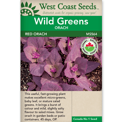 Wild Greens Red Orach - West Coast Seeds