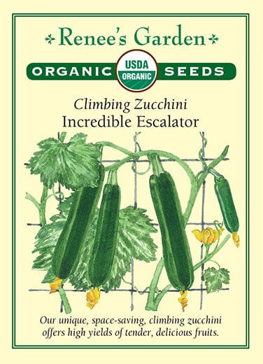 Organic Zucchini Incredible Escalator - Renee's Garden