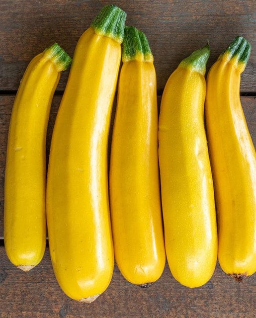 Organic Zucchini Squash Goldy - West Coast Seeds