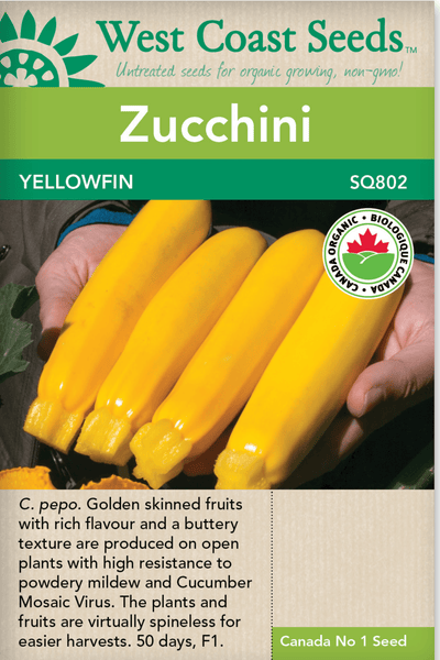 Organic Zucchini Yellowfin - West Coast Seeds