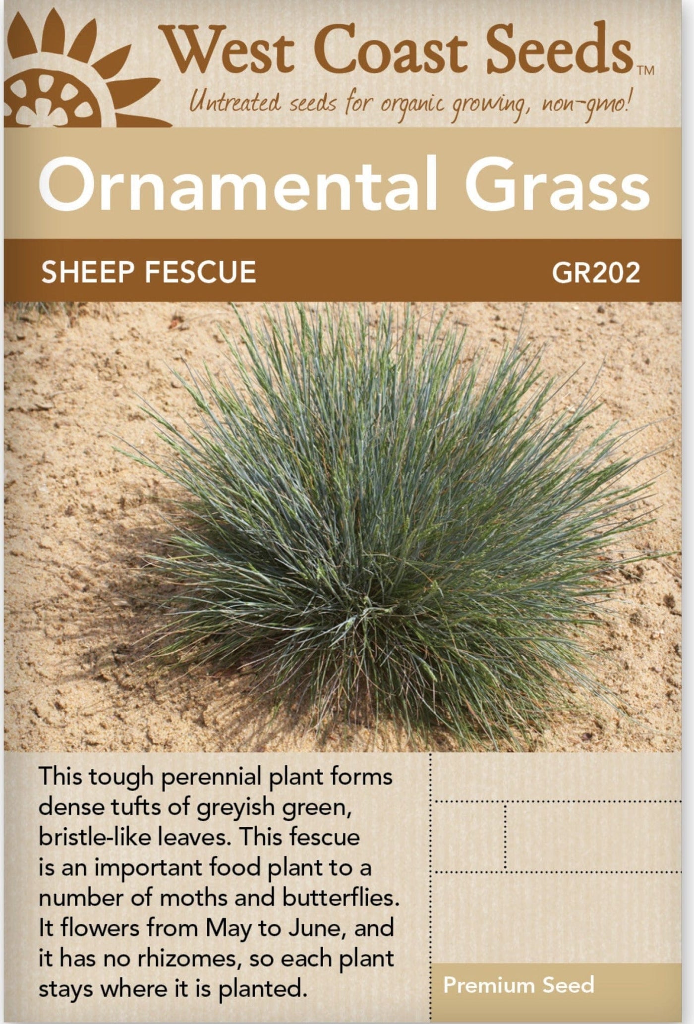 Ornamental Grass Sheep Fescue - West Coast Seeds
