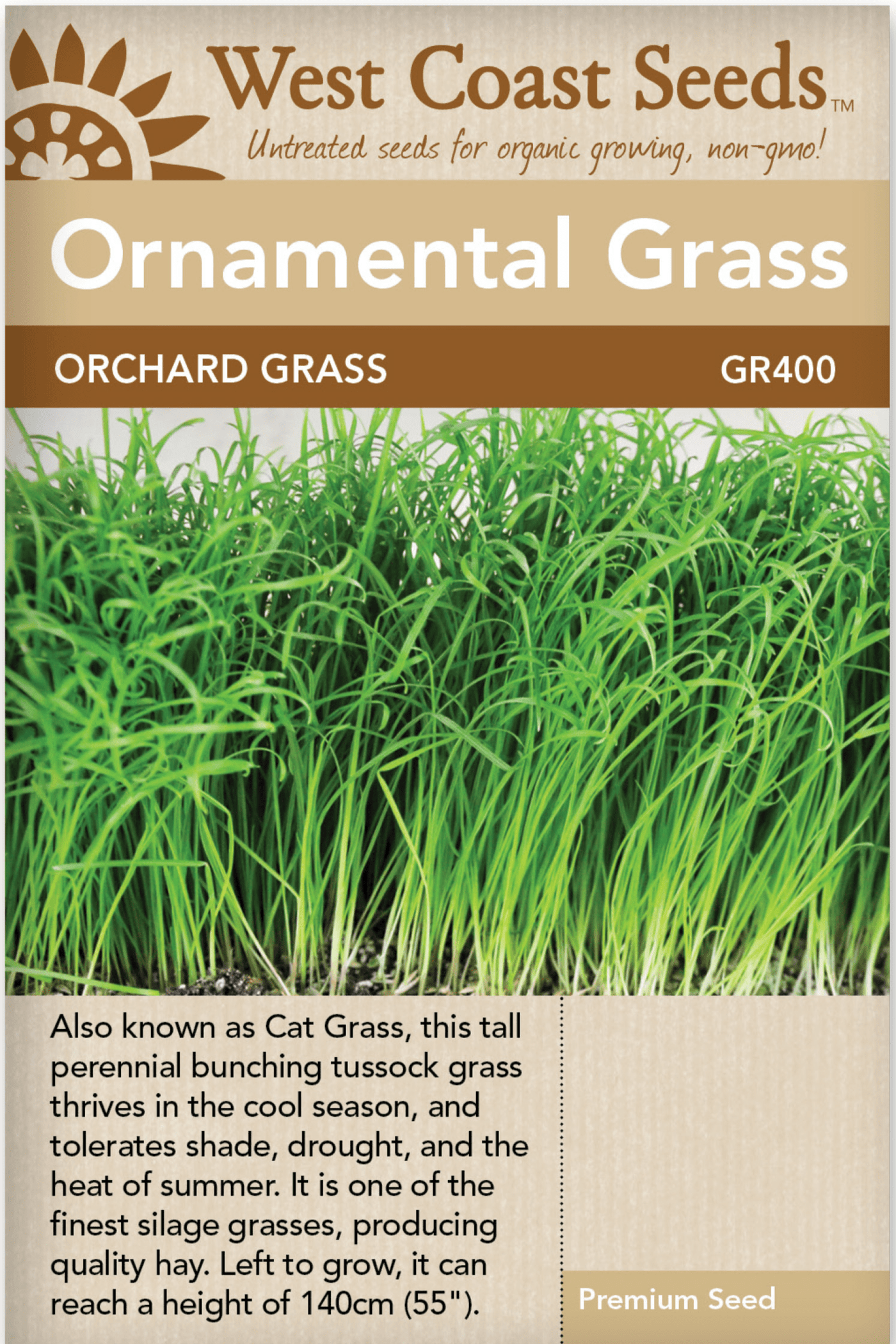 Ornamental Orchard Grass - West Coast Seeds