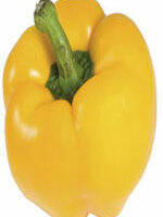 Pepper Golden Calwonder - Ontario Seed Company