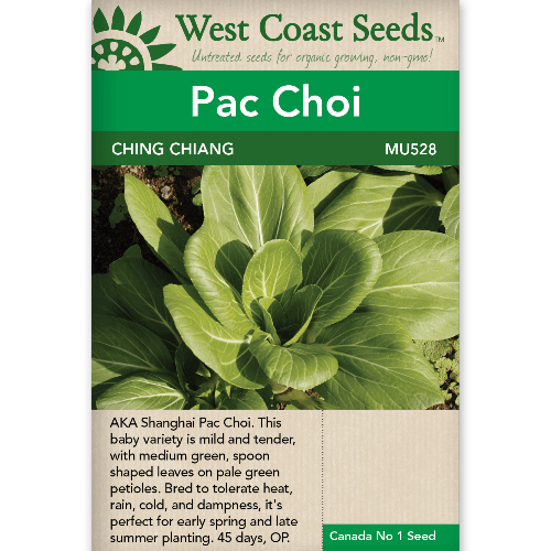 Pac Choi Ching Chiang Shanghai - West Coast Seeds