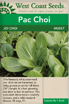 Pac Choi Joi Choi - West Coast Seeds