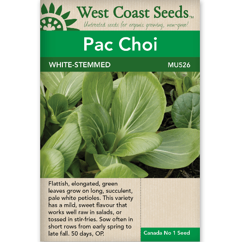 Pac Choi White Stemmed - West Coast Seeds