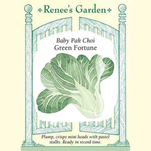 Baby Pak Choi Green Fortune - Renee's Garden